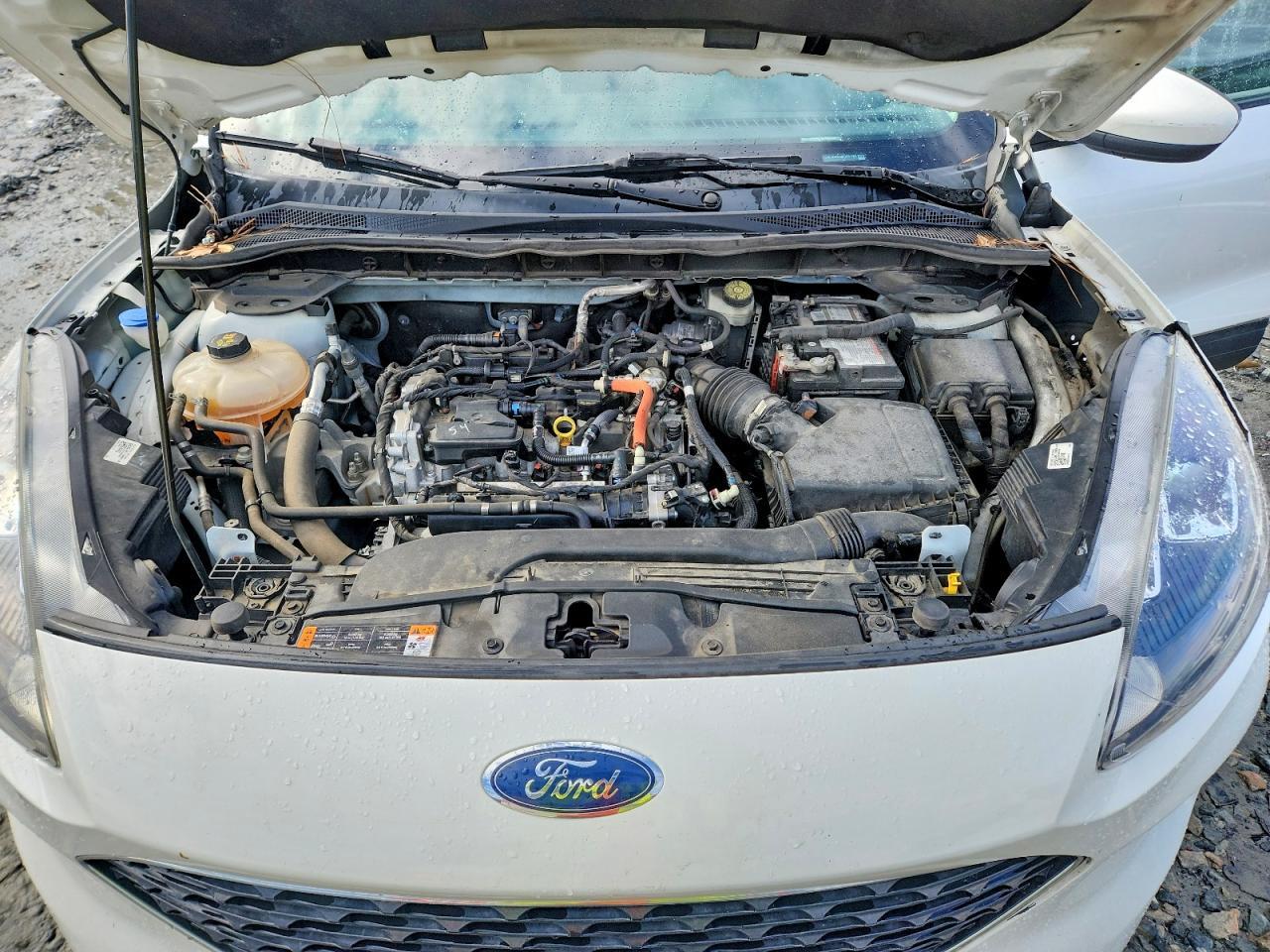 2021 Ford Escape sel