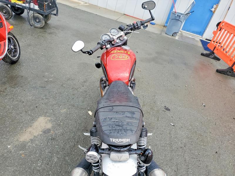 2019 Trum Speed Twin
