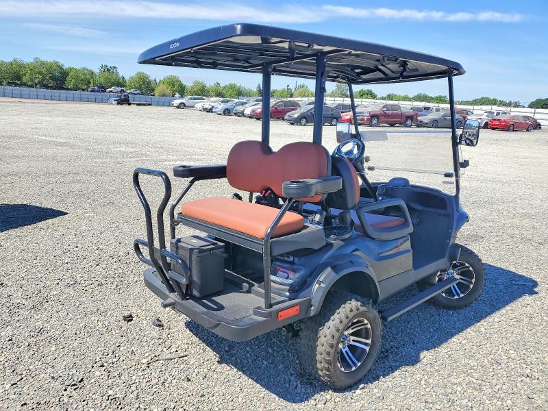 2020 Icon Golf Cart