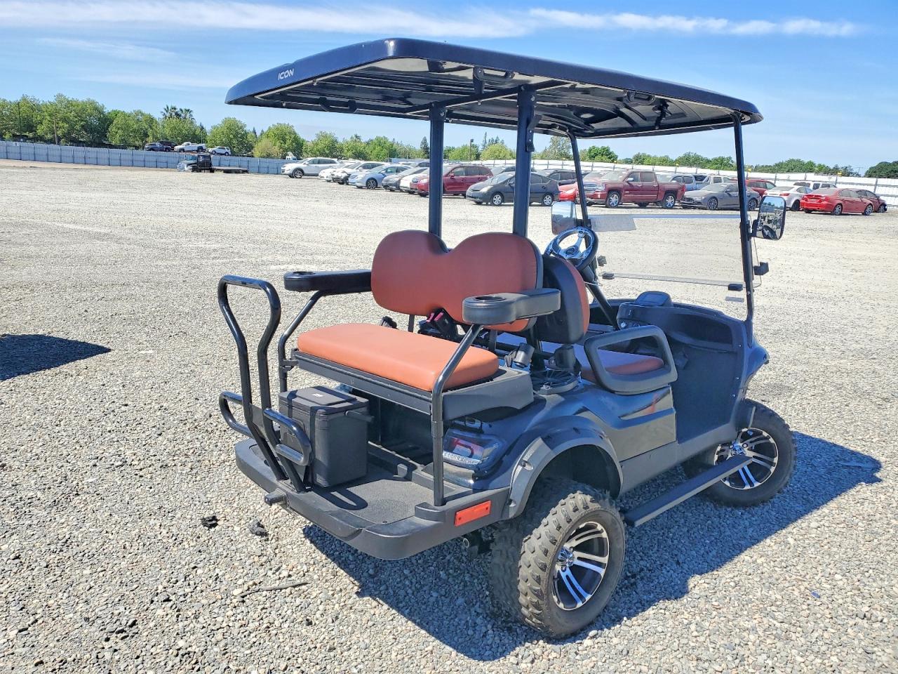 2020 Icon Golf Cart