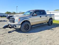 Salvage trucks for sale at Sacramento, CA auction: 2013 Ford F150 Supercrew