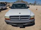 2003 Dodge Dakota SXT