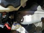 2013 Skidoo MXZ Sport