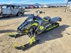 2019 Polaris PRO-X