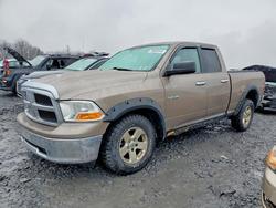 Dodge salvage cars for sale: 2009 Dodge RAM 1500