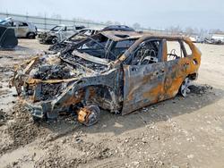 Vehiculos salvage en venta de Copart Appleton, WI: 2019 Toyota Rav4 xle