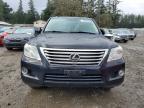 2010 Lexus Lx 570 Base