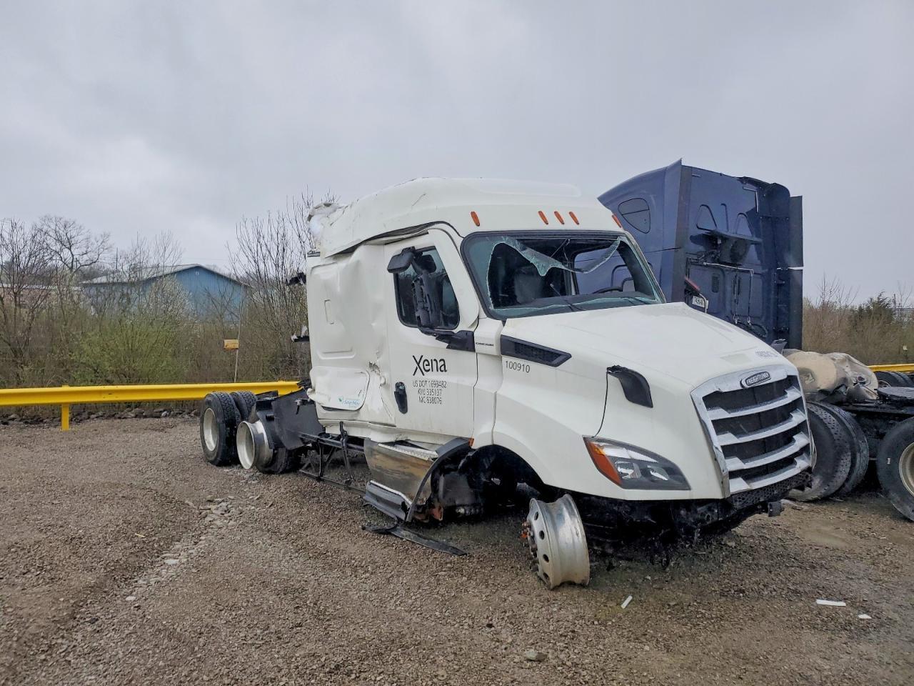 2021 Freightliner Cascadia 116 Semi Truck