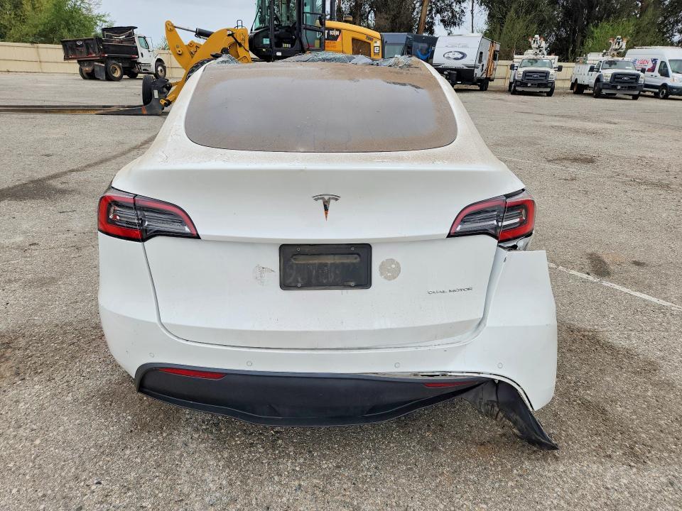2020 Tesla Model y