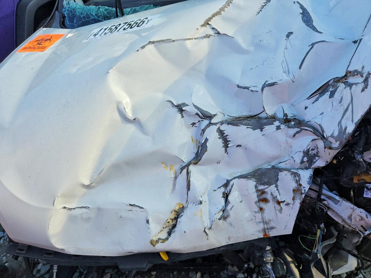 2018 Dodge RAM Promaster City