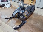 2021 Yamaha SIDEWINDER/SNOSCOOT/SRVIPER/SR