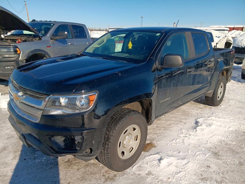 2019 Chev Colorado