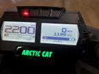 2020 Arctic Cat Arctic Cat