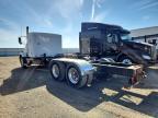 2004 Kenworth T800 Truck Cab AND Chassis