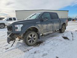 Salvage trucks for sale at Rocky View County, AB auction: 2016 Ford F150 Supercrew
