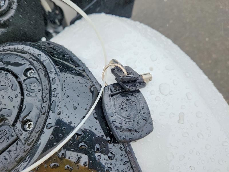 2024 Harley-Davidson Fltrx