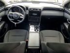 2024 Hyundai Tucson Hybrid Blue