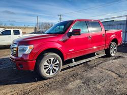 Salvage trucks for sale at New Britain, CT auction: 2013 Ford F150 Supercrew