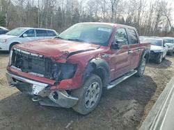 Salvage trucks for sale at Cookstown, ON auction: 2014 Ford F150 Supercrew