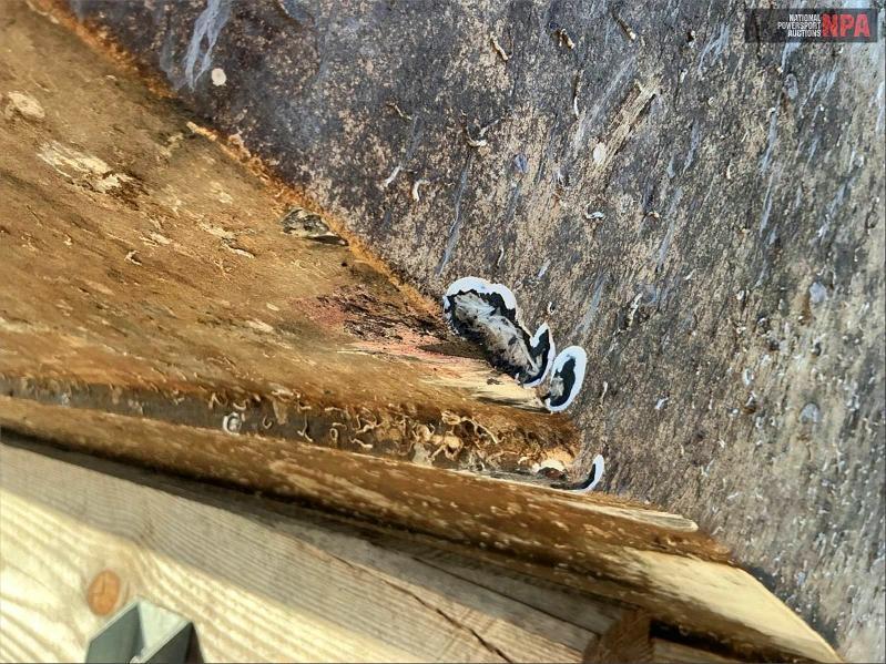 2022 Other Automobile Ss 192rl(*