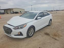 2019 Hyundai Sonata se for sale in Temple, TX