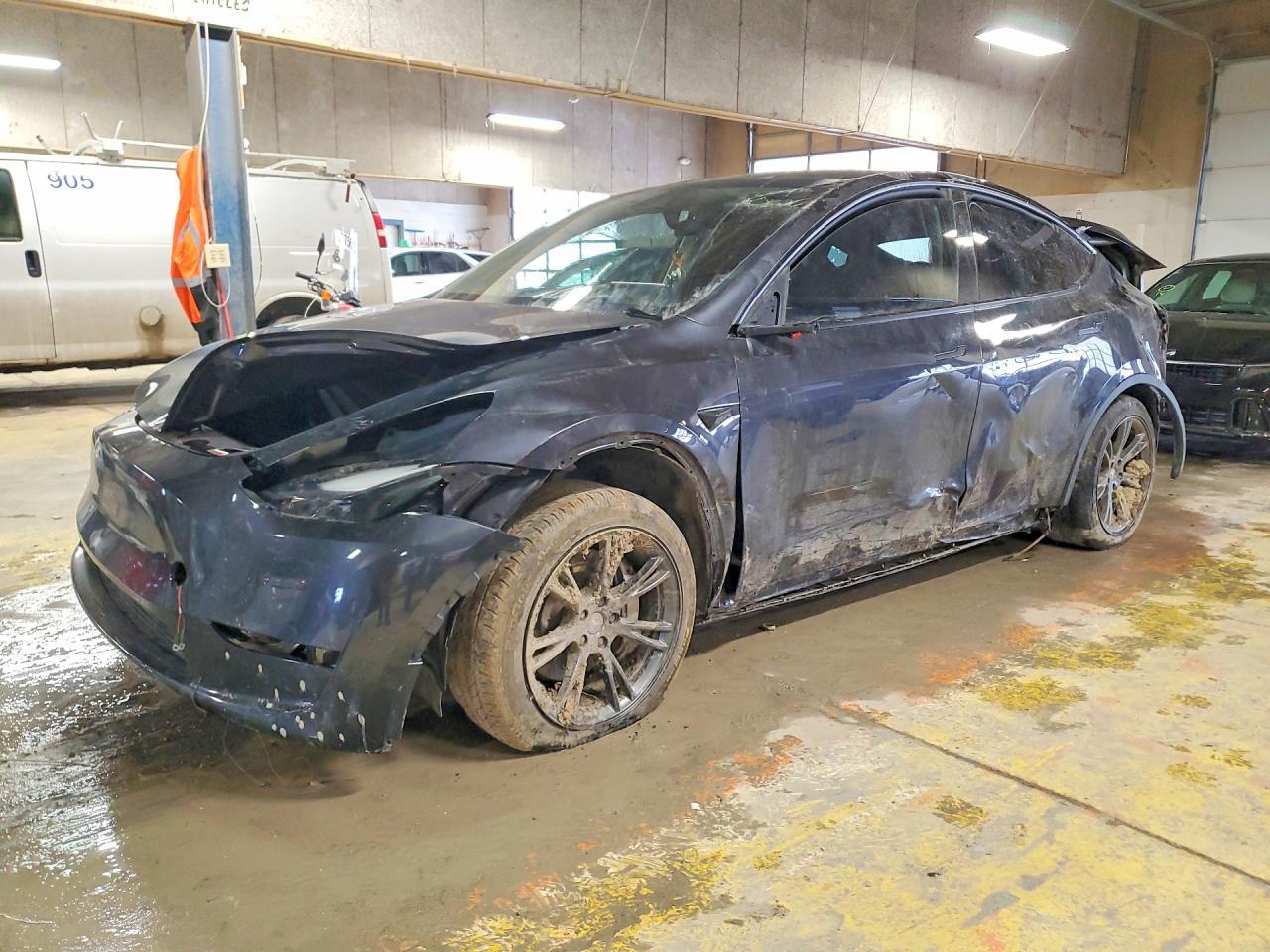 2024 Tesla Model y
