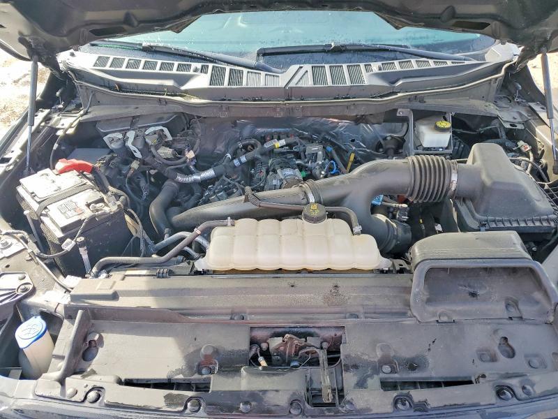 2024 Ford F150 XLT