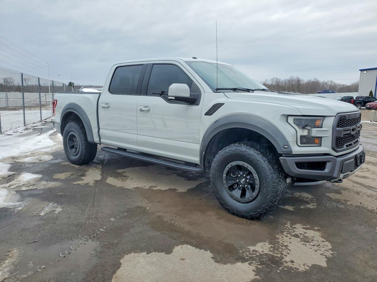 2017 Ford F150 Raptor