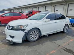 Honda salvage cars for sale: 2013 Honda Accord exl