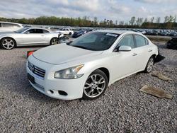 2013 Nissan Maxima 3.5 s for sale in La Grange, NC