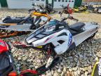 2021 Polari Snowmobile