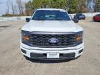 2025 Ford F150 STX