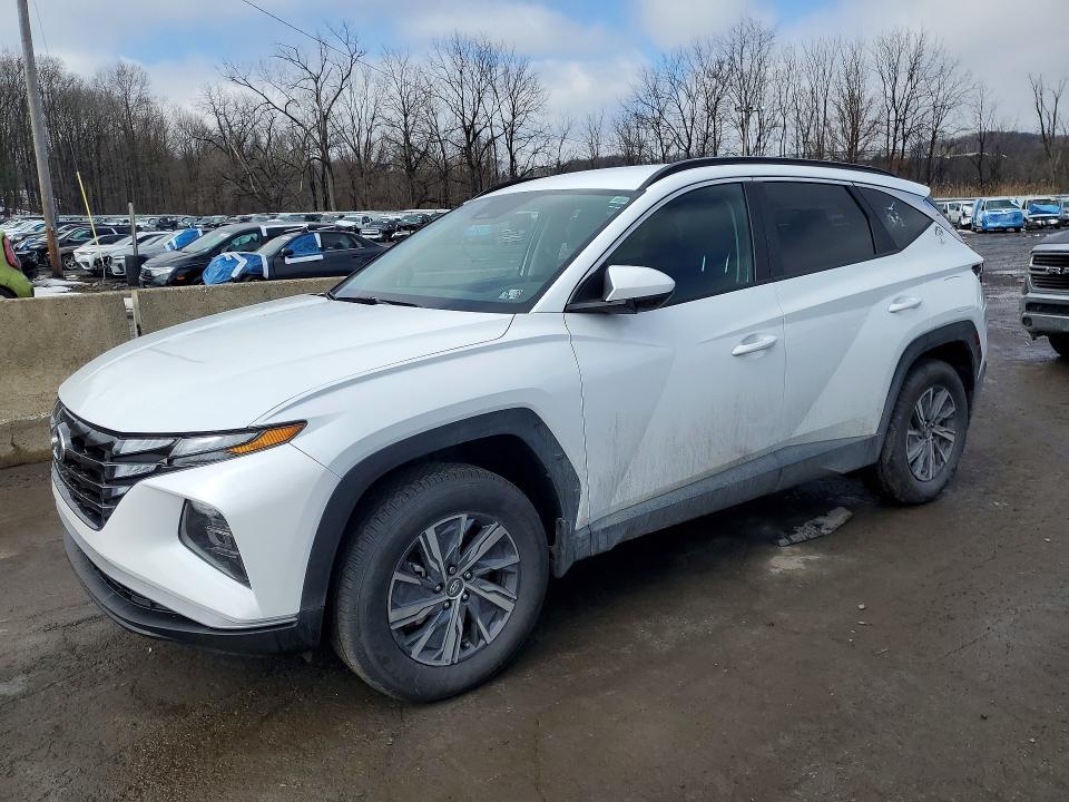 2024 Hyundai Tucson Hybrid Blue