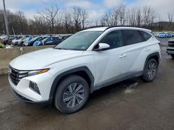 2024 Hyundai Tucson Hybrid Blue for sale in Marlboro, NY