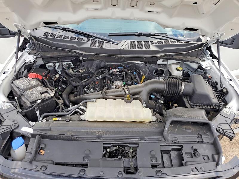 2025 Ford F150 XLT
