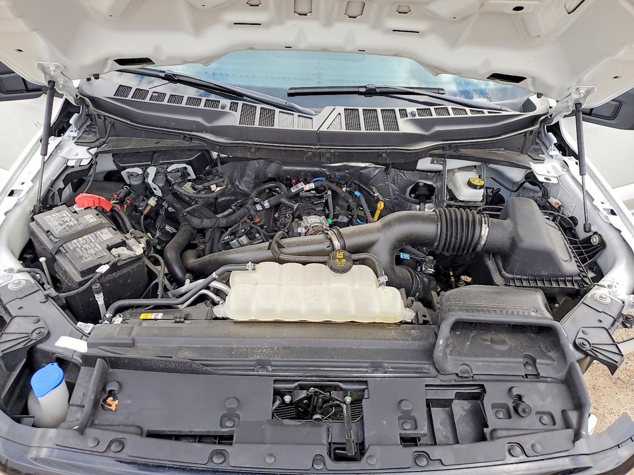 2025 Ford F150 XLT