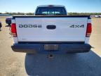 2001 Dodge Dakota Quattro