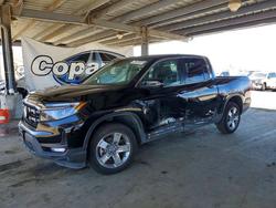 Salvage cars for sale from Copart Hayward, CA: 2025 Honda Ridgeline RTL