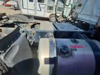 2020 Freigliner 2020 Freightliner Cascadia 126 Semi Truck