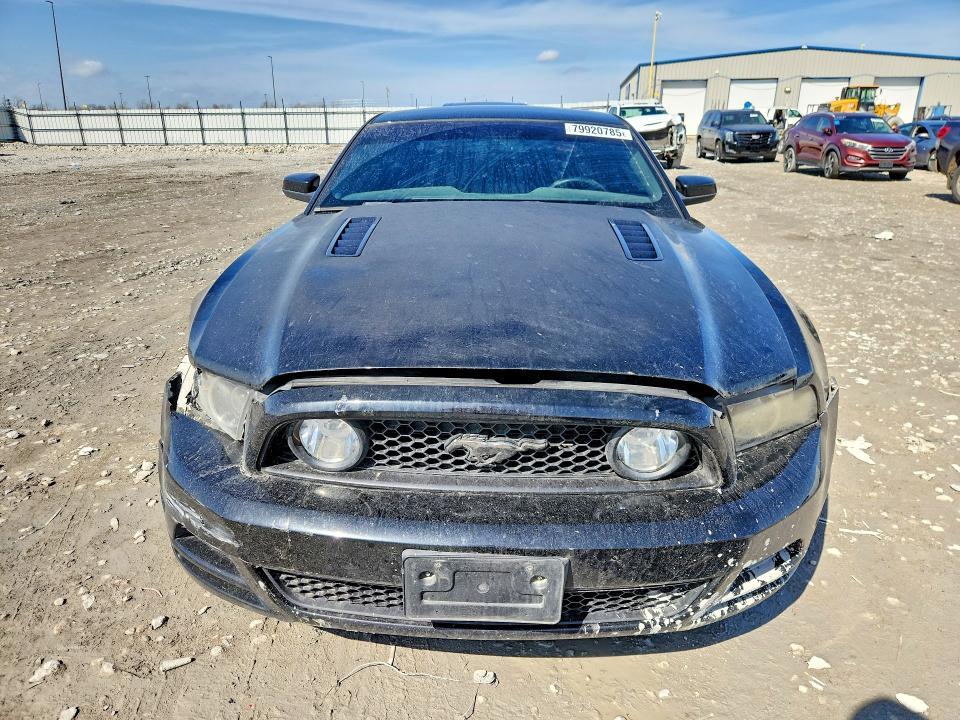 2013 Ford Mustang gt