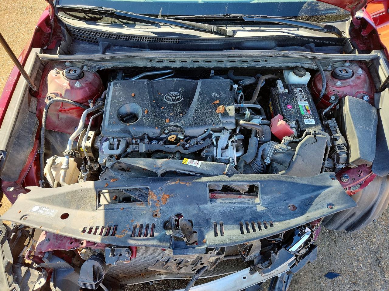 2019 Toyota Camry le