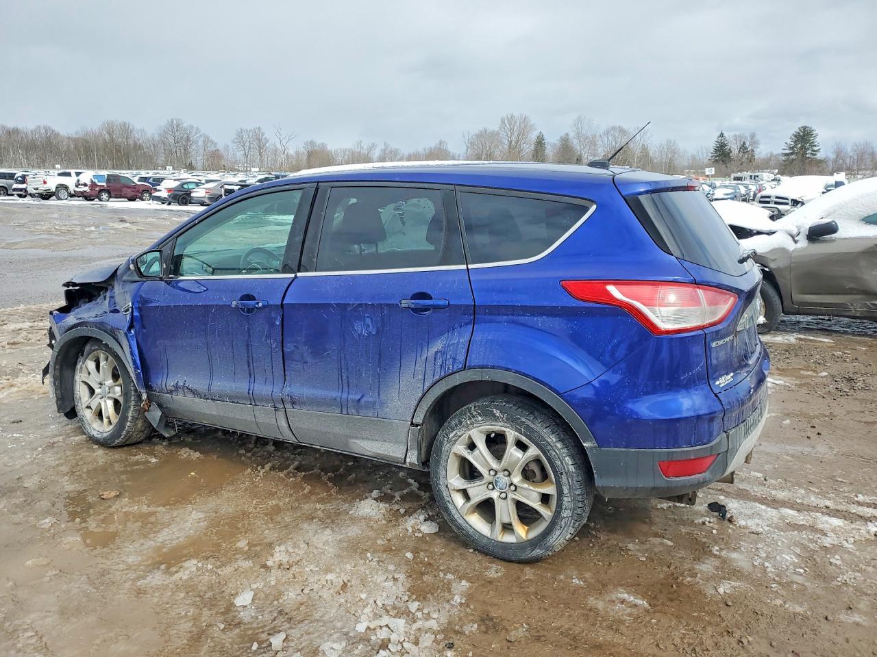 2013 Ford Escape sel