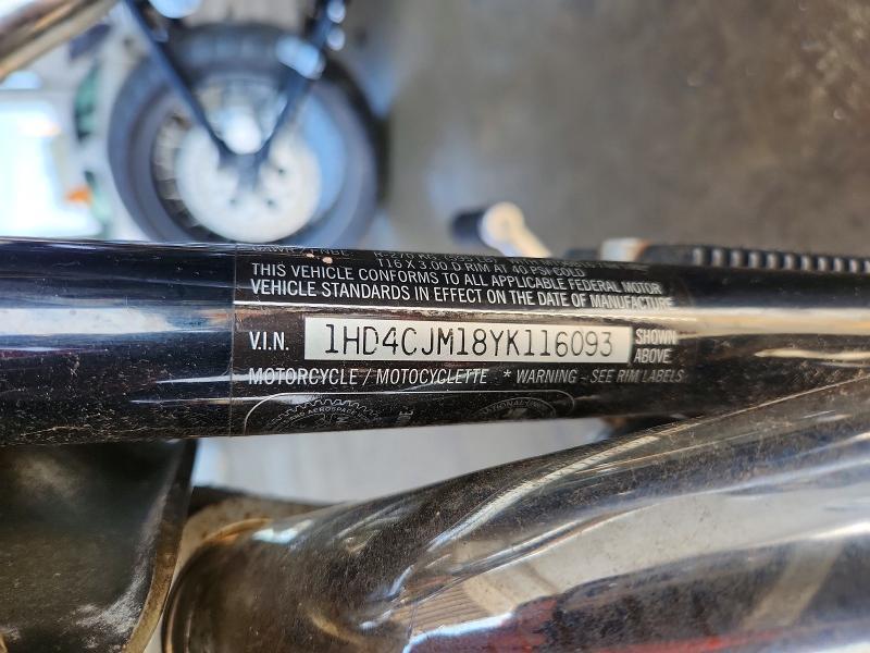 2000 Harley-Davidson XL883 C