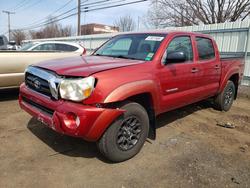 Salvage trucks for sale at New Britain, CT auction: 2008 Toyota Tacoma V6