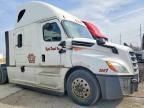 2020 Freigliner Cascadia 126