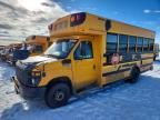 2011 Ford 2011 Collins Bantam E450-School Bus