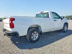 2019 Chevrolet Silverado C1500