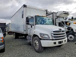 New arrivals for sale at auction: 2019 Hino 258/268 BOX Truck