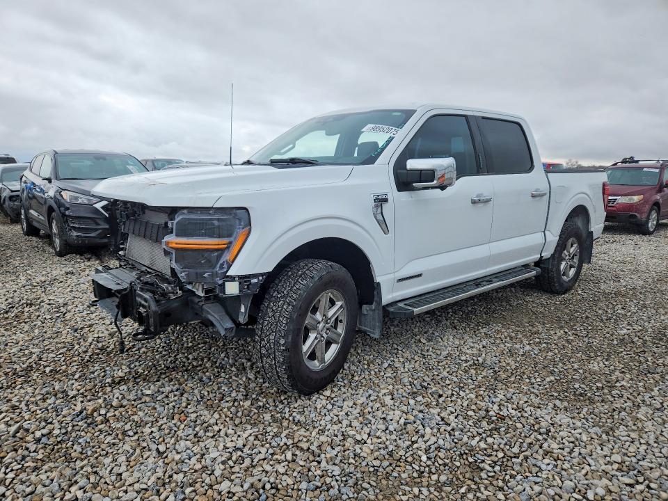 2024 Ford F150 xlt