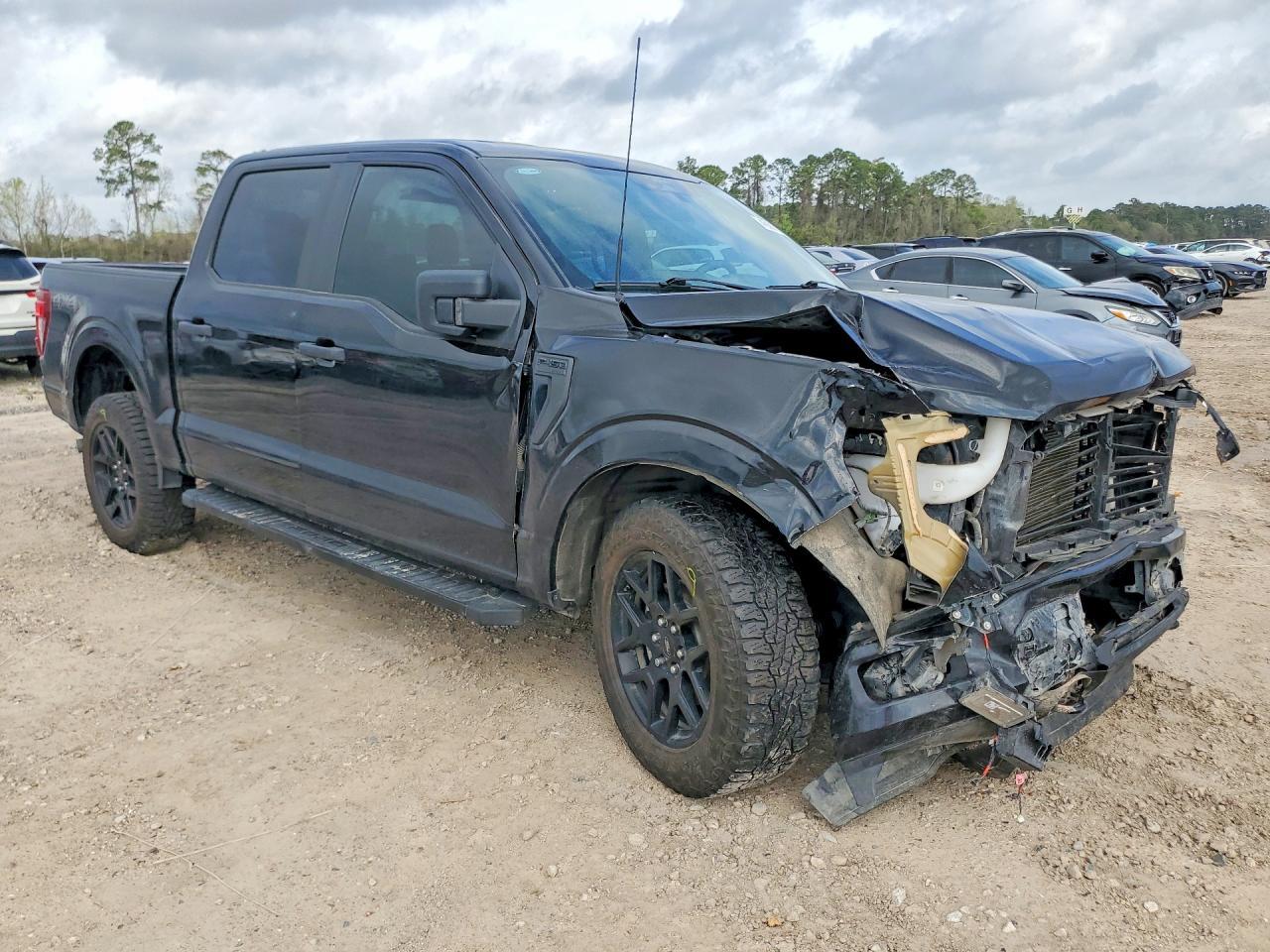 2024 Ford F150 STX